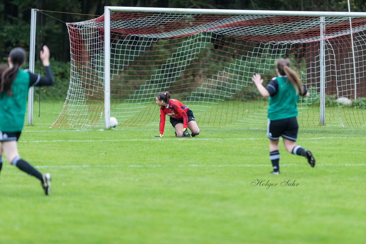 Bild 121 - F SG Daenisch Muessen - SG Blau-Rot Holstein : Ergebnis: 3:1